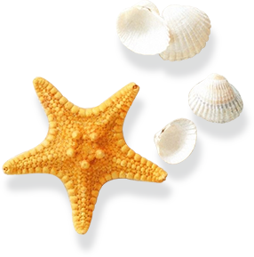 星空体育对比同行