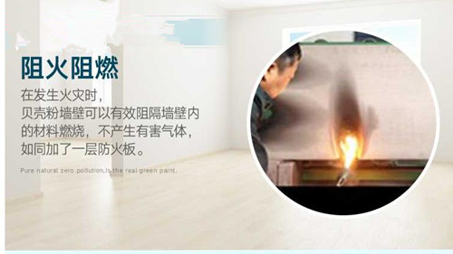 贝壳粉涂料为什么广受好评(图1)